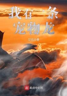 灵魂契约之复仇骑士