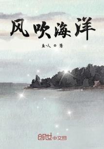 精灵宝可梦之梦想新大陆