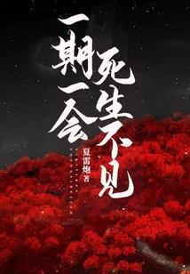 肖遥宇宙
