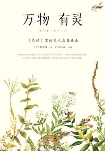 猫王国