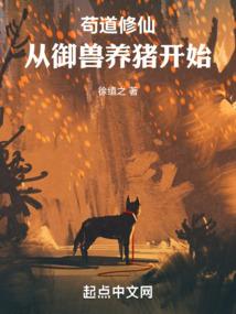 离婚女律师