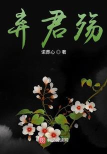 元素凝形者（暂停）