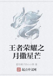 穿越之盗圣