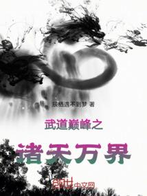 四星穿越:魔医十三