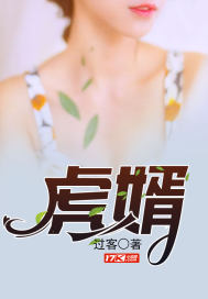 海贼世界的轮回眼