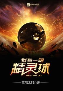 飘飞之羽