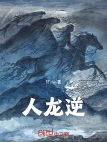 华宇辰年