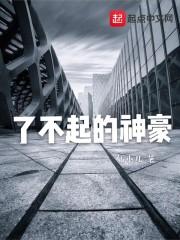 精灵宝可梦之再战芳缘