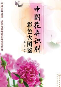 青若海云心似水