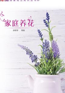 刀破苍穹录