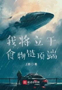 大漠追杀