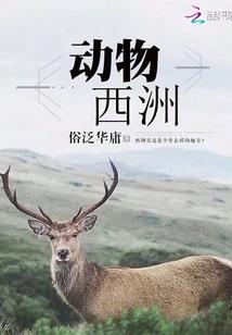 为了你我愿意付出一辈子