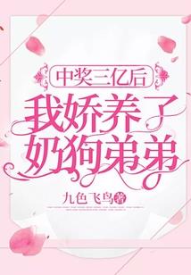 米瑞斯之不一样的阿玛迪斯