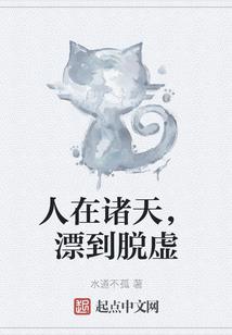 穿越之魅动西夏