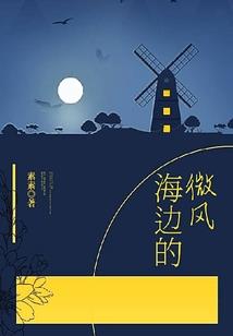 吴矜浅默恋你