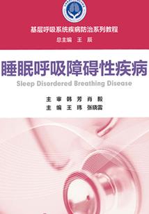乱雄论之圣光制裁