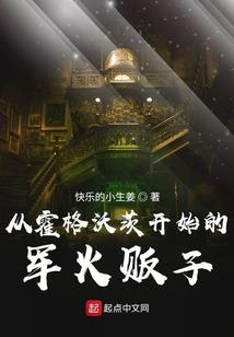 无敌星际大盗