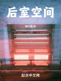 木婉清荷