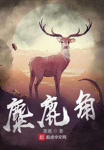 海贼之漫漫征途