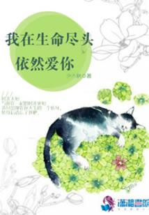 浪迹天下都市
