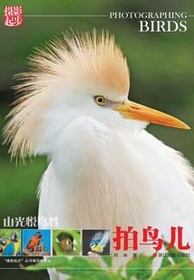 隐藏之云域