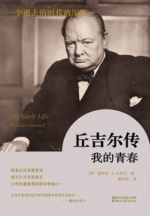 意外三胎后，首富老公找上门