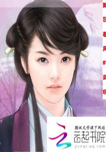 岚蝶飞
