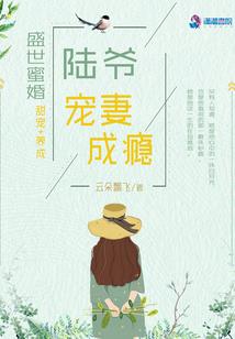 夏梦倾时