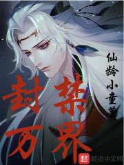 双岛战记
