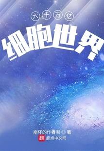 清欢碎