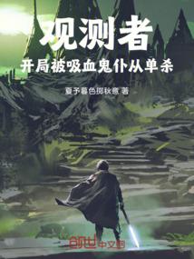 高达共和国之辉