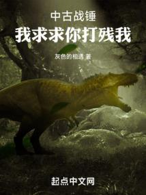 魔法的光辉