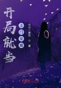 陆夫人，不要的马甲
