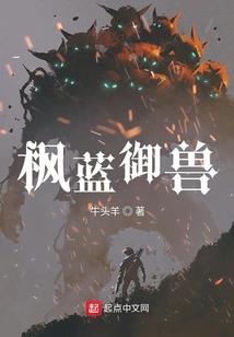 火影之高等使徒