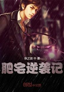 锦瑟繁弦
