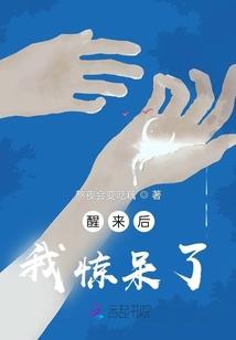 夜无雨阑珊