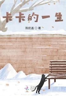 皇家术士
