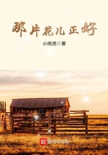 星战天下