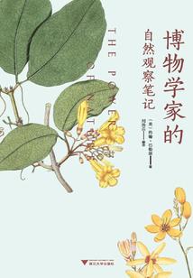 绝已情怀