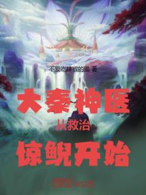 冉天传之光脑系统