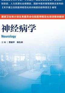 我的抗战之天际孤鸿