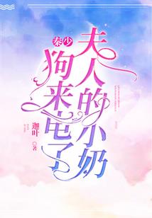 我在海贼王世界的那些事