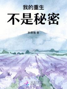 空壳之上