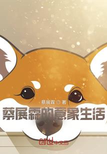 星球飞船