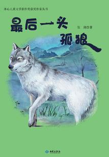 法术奥义