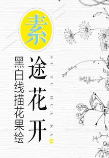 exo和龙组少女