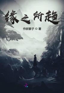 精灵世界玩卡牌
