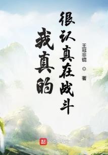 民间盗墓者