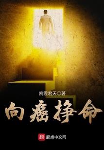次元拳神