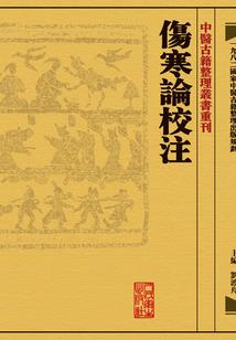 女尊国之凤倾天下